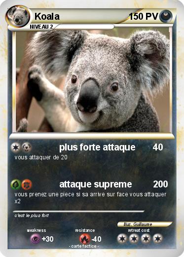 Pokemon Koala