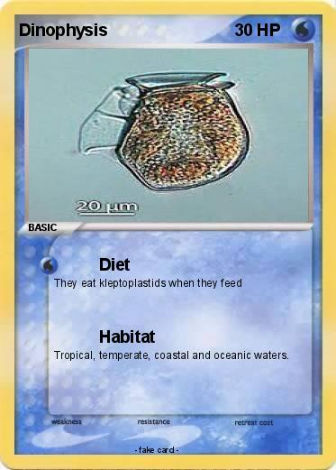 Pokemon Dinophysis