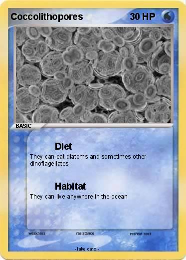 Pokemon Coccolithopores