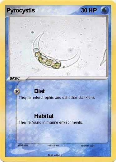 Pokemon Pyrocystis