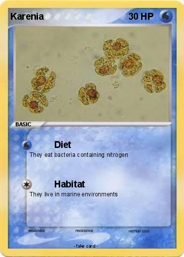 Pokemon Karenia
