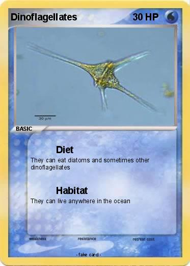 Pokemon Dinoflagellates