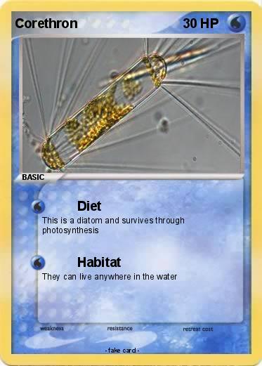 Pokemon Corethron