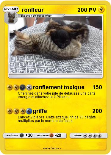 Pokemon ronfleur