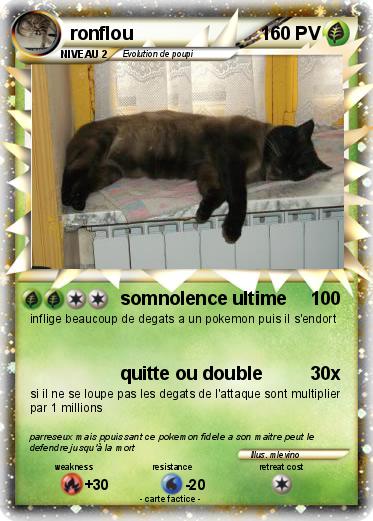 Pokemon ronflou