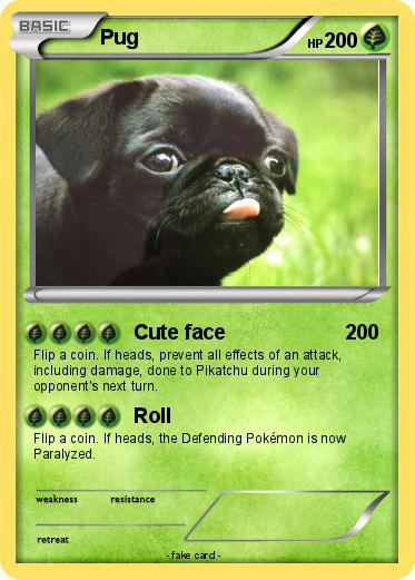 Pokemon Pug