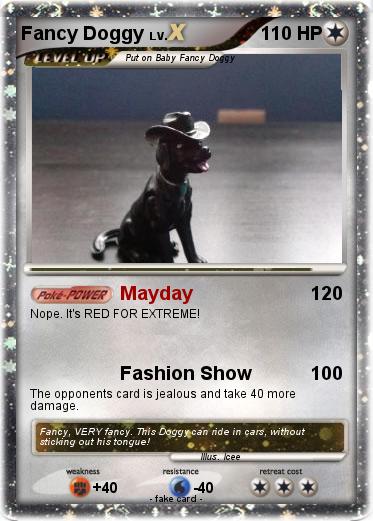Pokemon Fancy Doggy