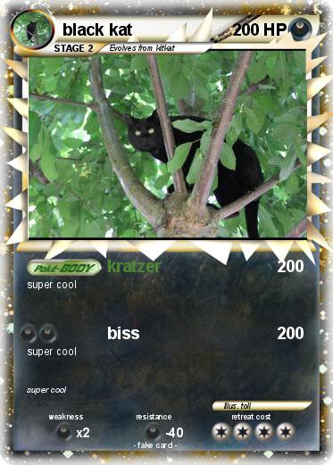 Pokemon black kat