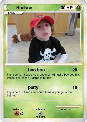 Pokemon Hudson