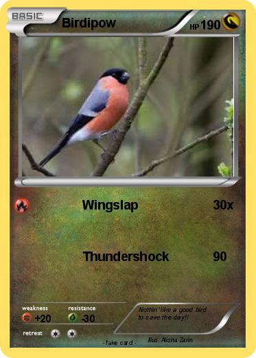 Pokemon Birdipow