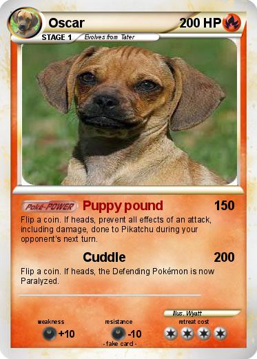 Pokemon Oscar