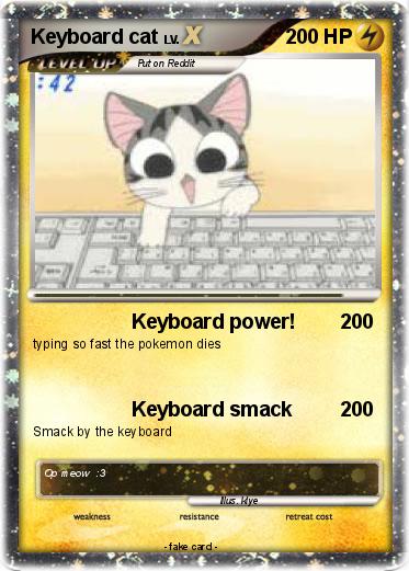Pokemon Keyboard cat