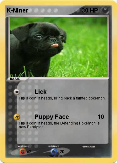 Pokemon K-Niner