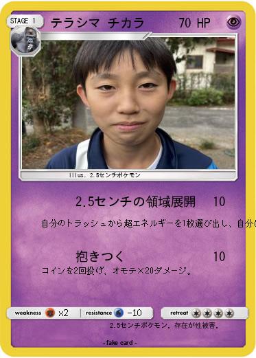 Pokemon テラシマ チカラ