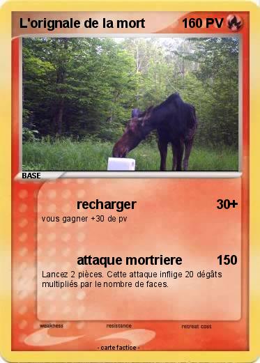 Pokemon L'orignale de la mort