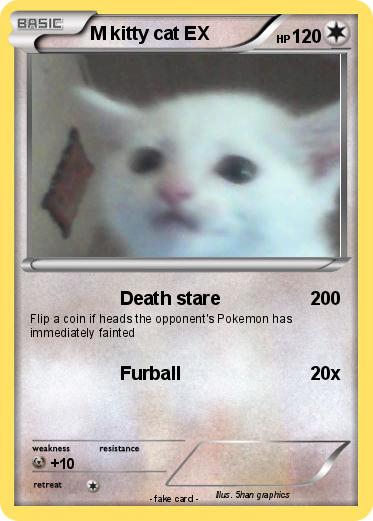 Pokemon M kitty cat EX