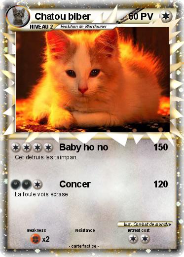 Pokemon Chatou biber