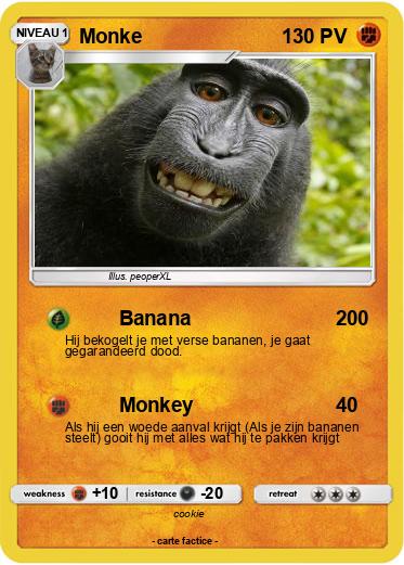 Pokemon Monke