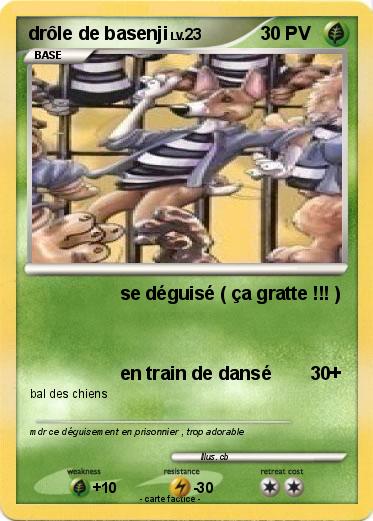 Pokemon drôle de basenji