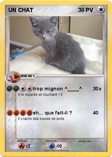 Pokemon UN CHAT