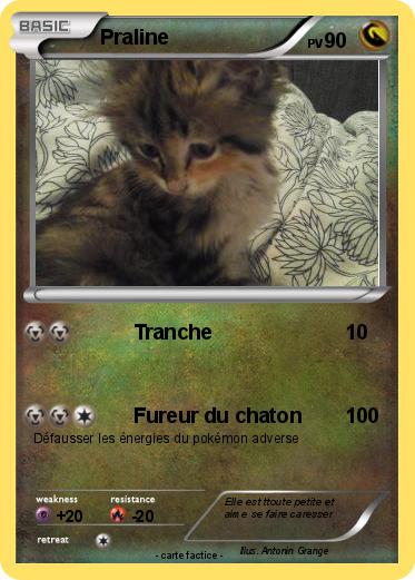 Pokemon Praline