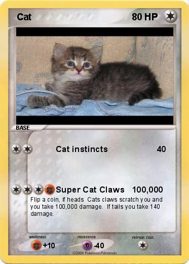 Pokemon  Cat