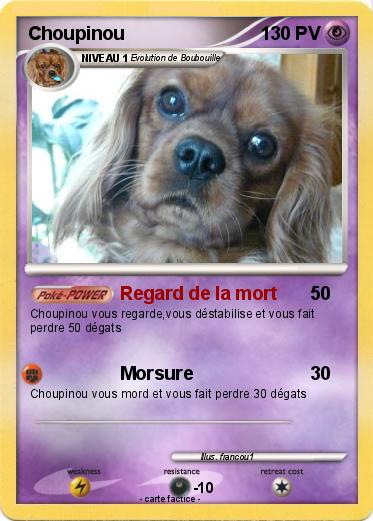 Pokemon Choupinou