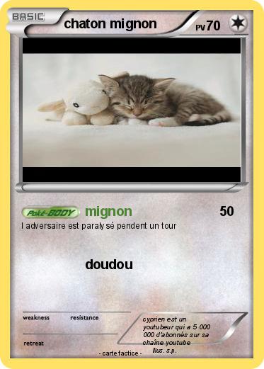 Pokemon chaton mignon
