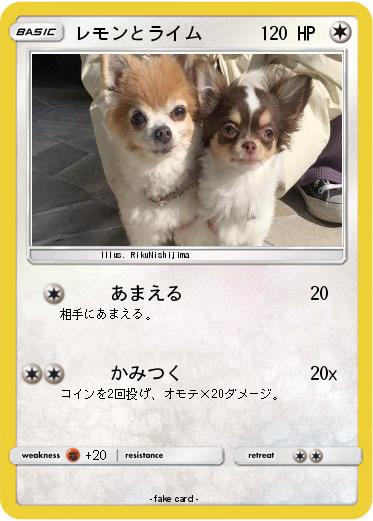 Pokemon レモンとライム