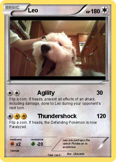 Pokemon Leo