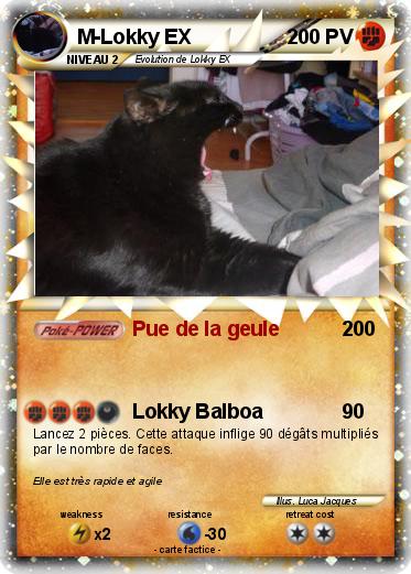 Pokemon M-Lokky EX