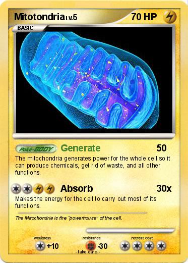 Pokemon Mitotondria