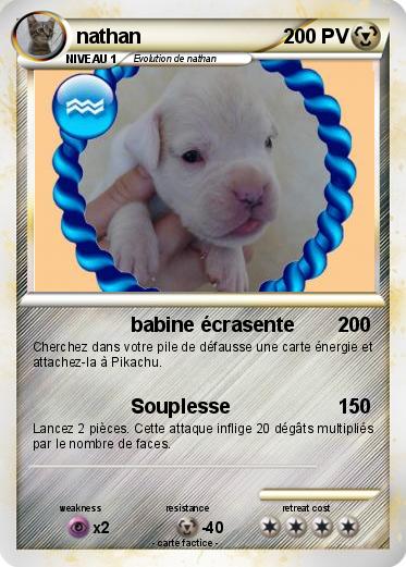 Pokemon nathan