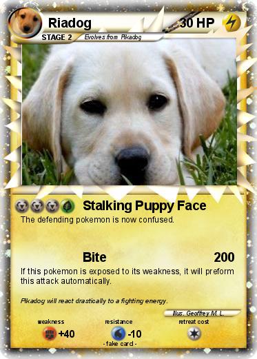 Pokemon Riadog