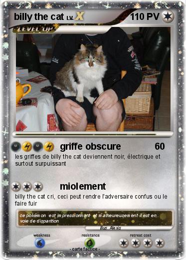 Pokemon billy the cat