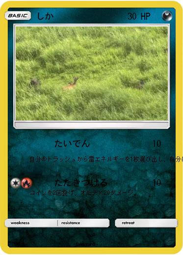 Pokemon しか