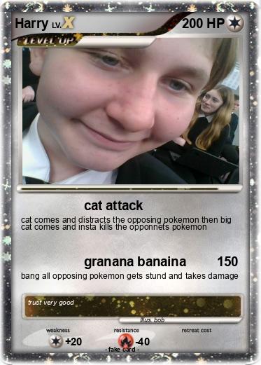 Pokemon Harry