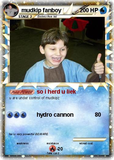 Pokemon mudkip fanboy