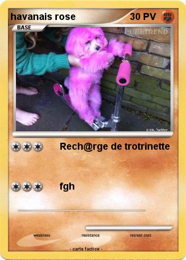 Pokemon havanais rose