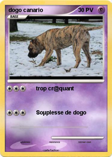 Pokemon dogo canario