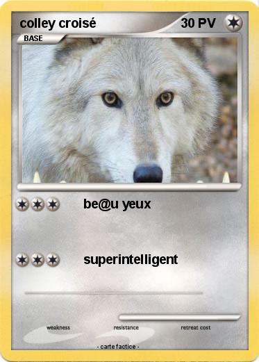 Pokemon colley croisé