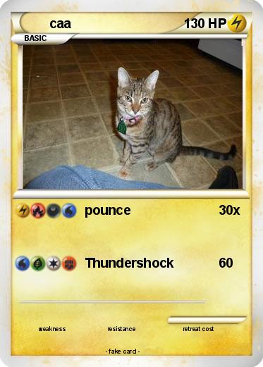 Pokemon caa