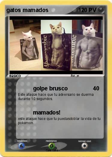 Pokemon gatos mamados