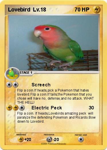 Pokemon Lovebird  Lv.18