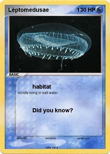 Pokemon Leptomedusae