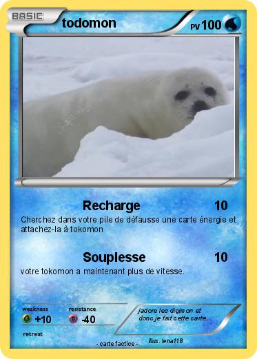 Pokemon todomon