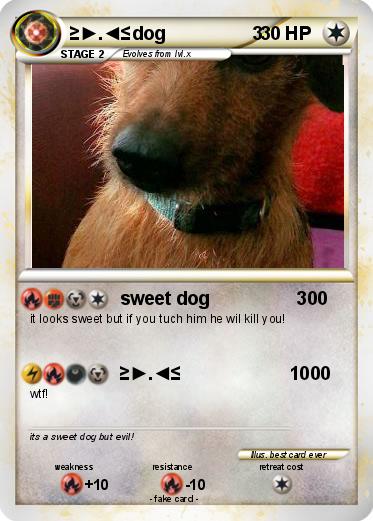 Pokemon ≥►.◄≤dog                 3