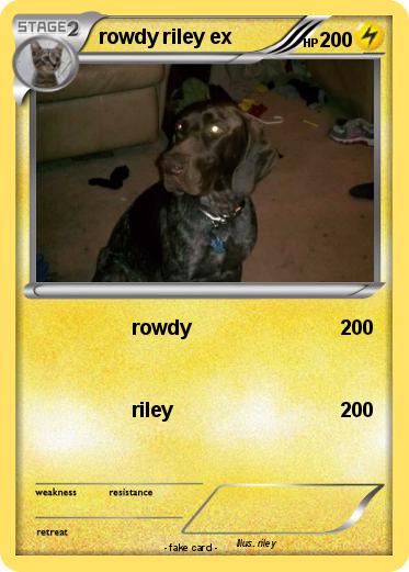 Pokemon rowdy riley ex