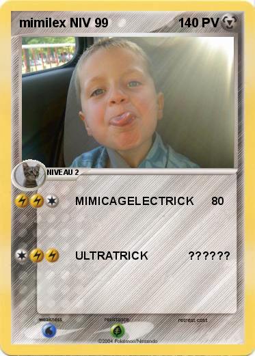 Pokemon mimilex NIV 99