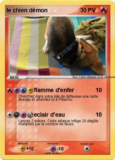 Pokemon le chien démon